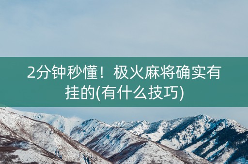 2分钟秒懂！极火麻将确实有挂的(有什么技巧)