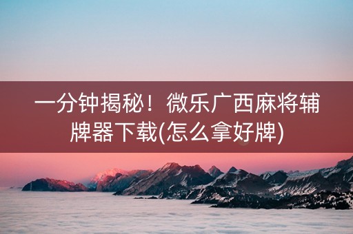 一分钟揭秘！微乐广西麻将辅牌器下载(怎么拿好牌)
