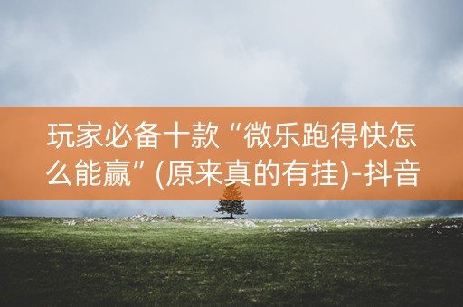 玩家必备十款“微乐跑得快怎么能赢”(原来真的有挂)-抖音