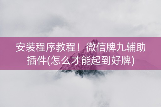 安装程序教程！微信牌九辅助插件(怎么才能起到好牌)