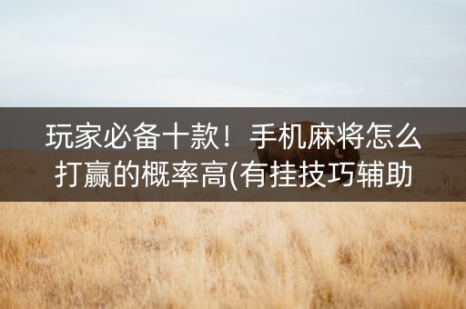 玩家必备十款！手机麻将怎么打赢的概率高(有挂技巧辅助器)
