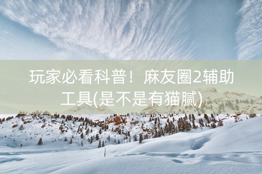 玩家必看科普！麻友圈2辅助工具(是不是有猫腻)