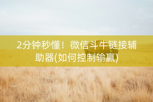 2分钟秒懂！微信斗牛链接辅助器(如何控制输赢)