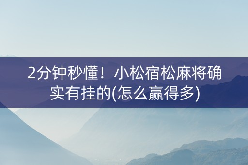 2分钟秒懂！小松宿松麻将确实有挂的(怎么赢得多)