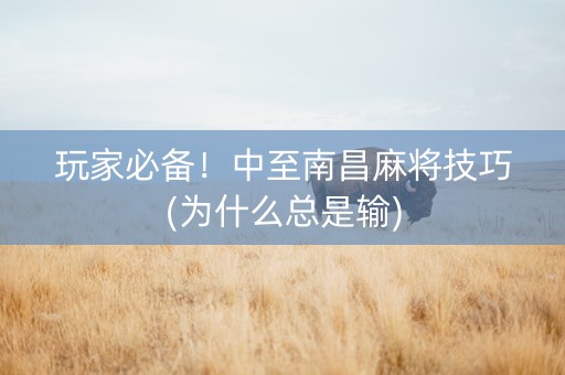 玩家必备！中至南昌麻将技巧(为什么总是输)