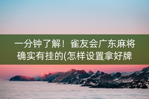 一分钟了解！雀友会广东麻将确实有挂的(怎样设置拿好牌)