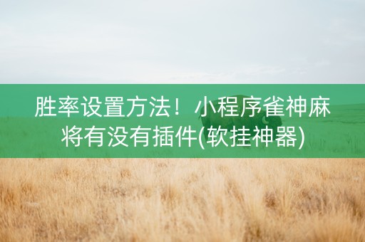 胜率设置方法！小程序雀神麻将有没有插件(软挂神器)