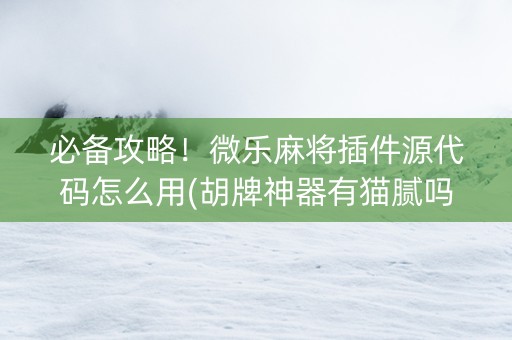 必备攻略！微乐麻将插件源代码怎么用(胡牌神器有猫腻吗)
