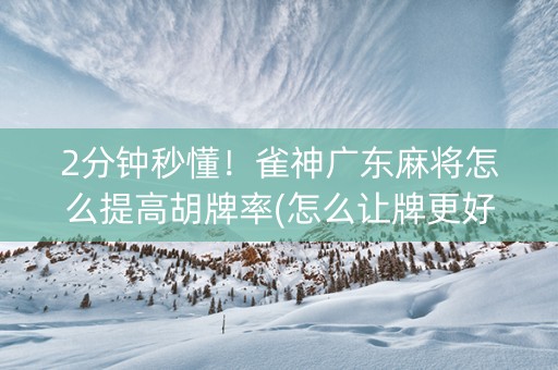 2分钟秒懂！雀神广东麻将怎么提高胡牌率(怎么让牌更好)