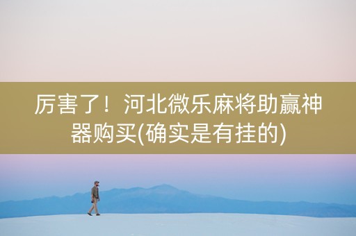 厉害了！河北微乐麻将助赢神器购买(确实是有挂的)