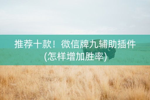 推荐十款！微信牌九辅助插件(怎样增加胜率)