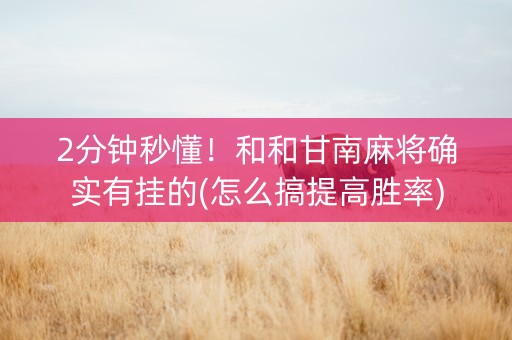 2分钟秒懂！和和甘南麻将确实有挂的(怎么搞提高胜率)