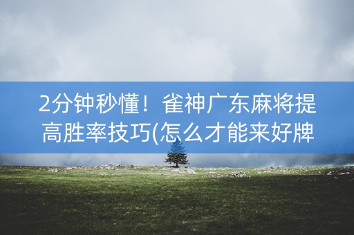 2分钟秒懂！雀神广东麻将提高胜率技巧(怎么才能来好牌)