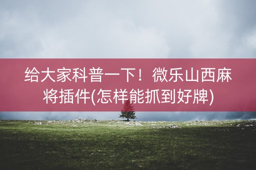 给大家科普一下！微乐山西麻将插件(怎样能抓到好牌)