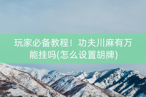 玩家必备教程！功夫川麻有万能挂吗(怎么设置胡牌)