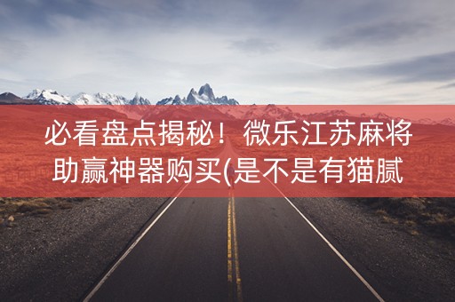 必看盘点揭秘！微乐江苏麻将助赢神器购买(是不是有猫腻)