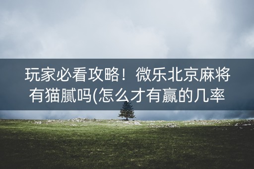 玩家必看攻略！微乐北京麻将有猫腻吗(怎么才有赢的几率)
