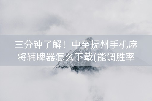三分钟了解！中至抚州手机麻将辅牌器怎么下载(能调胜率吗)