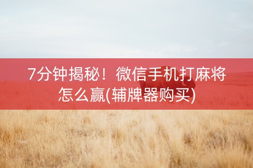 7分钟揭秘！微信手机打麻将怎么赢(辅牌器购买)