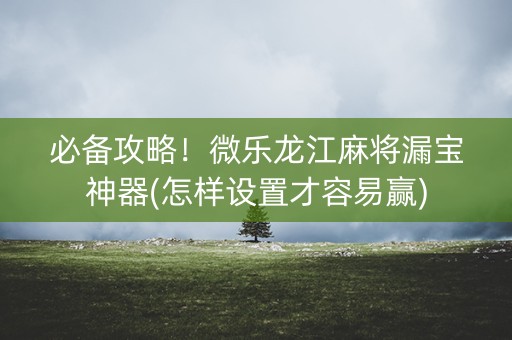 必备攻略！微乐龙江麻将漏宝神器(怎样设置才容易赢)