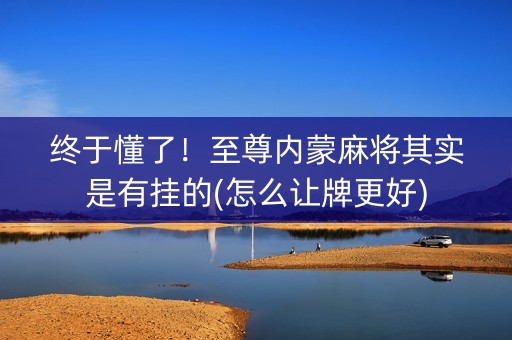 终于懂了！至尊内蒙麻将其实是有挂的(怎么让牌更好)