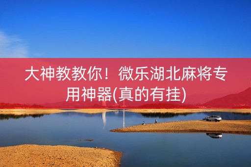 大神教教你！微乐湖北麻将专用神器(真的有挂)
