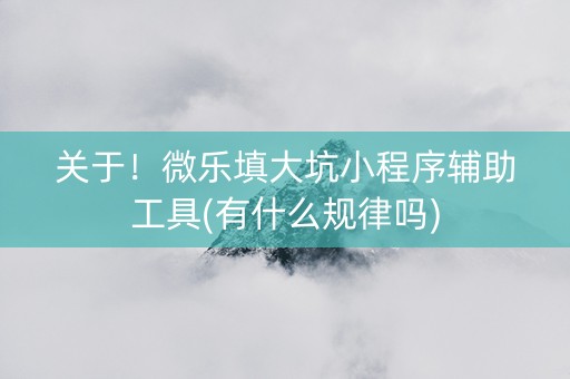 关于！微乐填大坑小程序辅助工具(有什么规律吗)