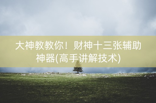大神教教你！财神十三张辅助神器(高手讲解技术)