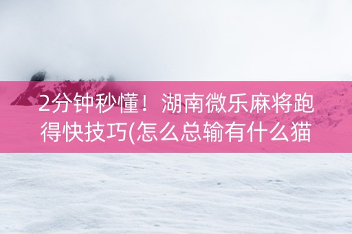 2分钟秒懂！湖南微乐麻将跑得快技巧(怎么总输有什么猫腻)