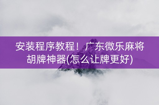 安装程序教程！广东微乐麻将胡牌神器(怎么让牌更好)