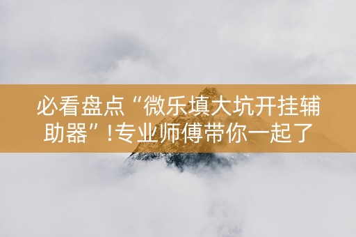 必看盘点“微乐填大坑开挂辅助器”!专业师傅带你一起了解（详细教程）-抖音