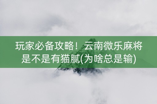 玩家必备攻略！云南微乐麻将是不是有猫腻(为啥总是输)