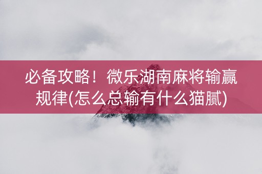 必备攻略！微乐湖南麻将输赢规律(怎么总输有什么猫腻)