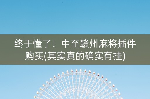 终于懂了！中至赣州麻将插件购买(其实真的确实有挂)