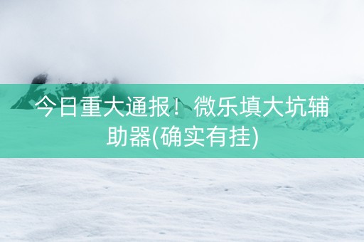 今日重大通报！微乐填大坑辅助器(确实有挂)