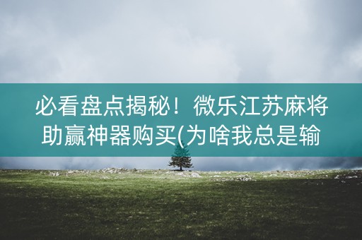 必看盘点揭秘！微乐江苏麻将助赢神器购买(为啥我总是输)