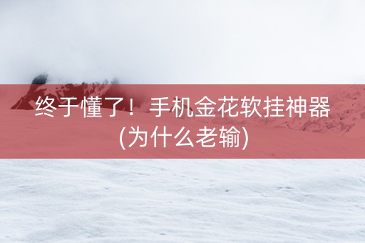 终于懂了！手机金花软挂神器(为什么老输)