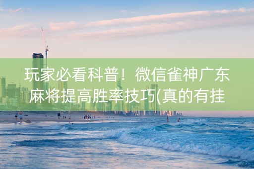 玩家必看科普！微信雀神广东麻将提高胜率技巧(真的有挂)