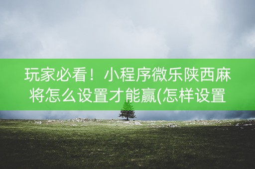 玩家必看！小程序微乐陕西麻将怎么设置才能赢(怎样设置才容易赢)