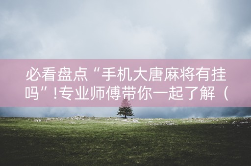 必看盘点“手机大唐麻将有挂吗”!专业师傅带你一起了解（详细教程）-抖音