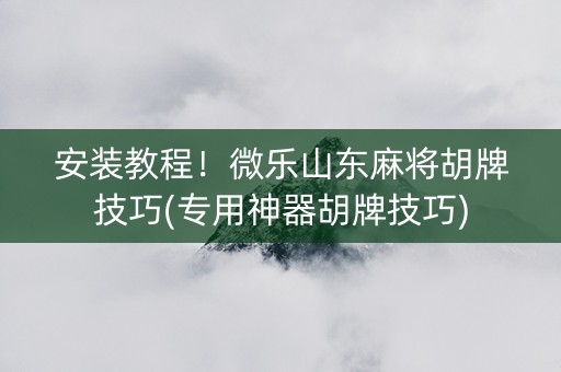 安装教程！微乐山东麻将胡牌技巧(专用神器胡牌技巧)