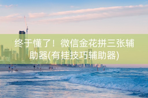 终于懂了！微信金花拼三张辅助器(有挂技巧辅助器)