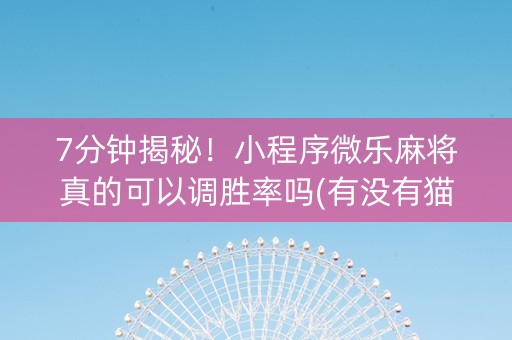 7分钟揭秘！小程序微乐麻将真的可以调胜率吗(有没有猫腻)