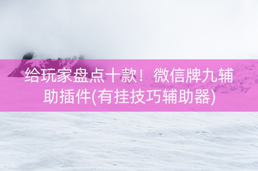 给玩家盘点十款！微信牌九辅助插件(有挂技巧辅助器)
