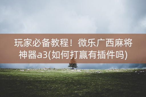 玩家必备教程！微乐广西麻将神器a3(如何打赢有插件吗)