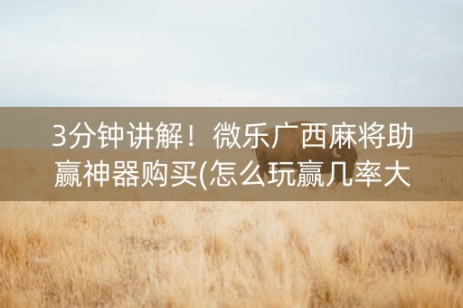 3分钟讲解！微乐广西麻将助赢神器购买(怎么玩赢几率大)