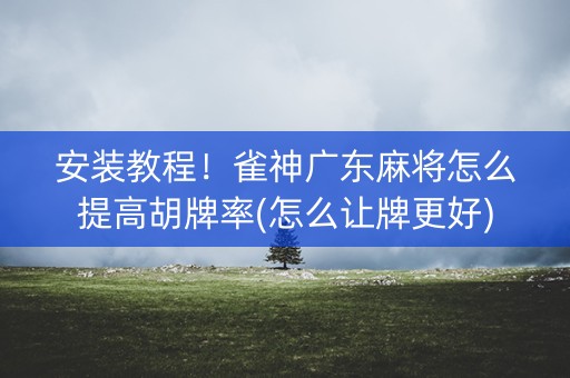 安装教程！雀神广东麻将怎么提高胡牌率(怎么让牌更好)