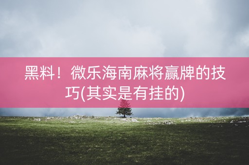 黑料！微乐海南麻将赢牌的技巧(其实是有挂的)