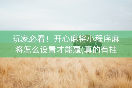 玩家必看！开心麻将小程序麻将怎么设置才能赢(真的有挂确实有挂)