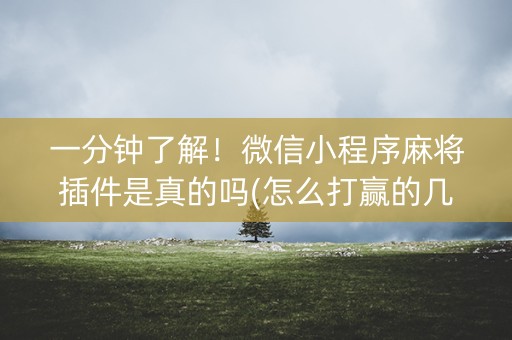 一分钟了解！微信小程序麻将插件是真的吗(怎么打赢的几率大)